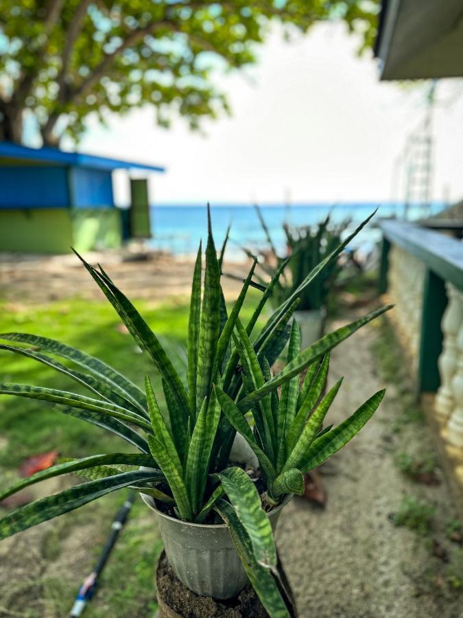 1Peace Beach Resort Anda (Visayas) Exterior foto